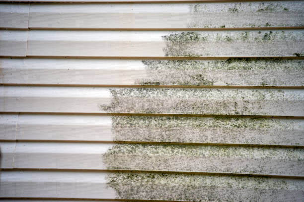 Best Property Management Cleanouts  in Port Byron, NY