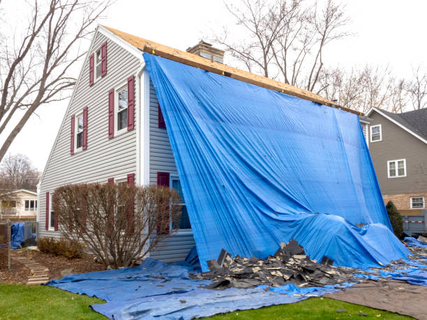 Best Carpet Removal and Disposal  in Port Byron, NY